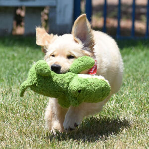 Reserved-Wally