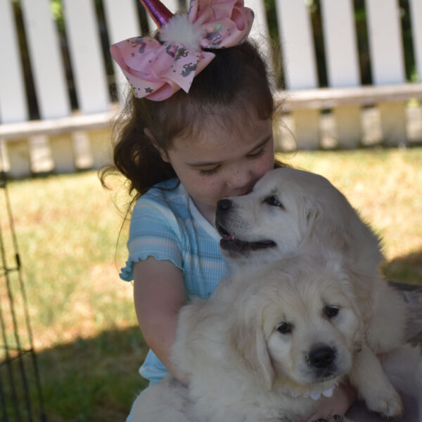 Daisy - Image 12