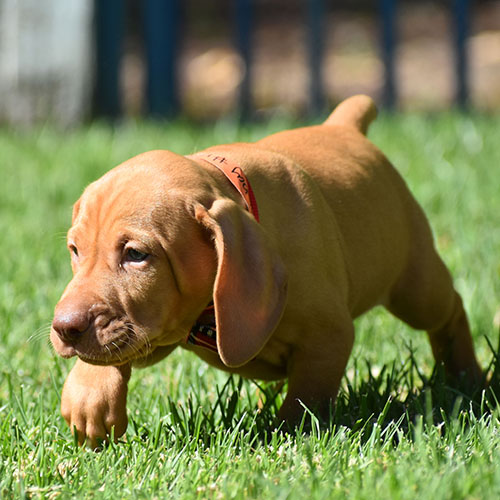 Reserved-Harvey - Image 11