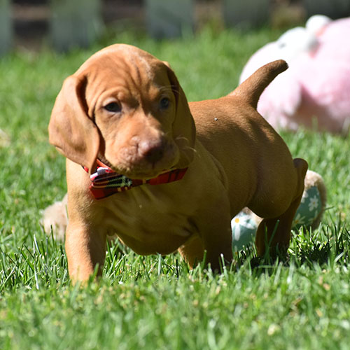 Reserved-Harvey - Image 13