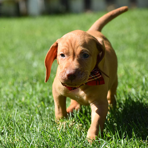 Reserved-Harvey - Image 14