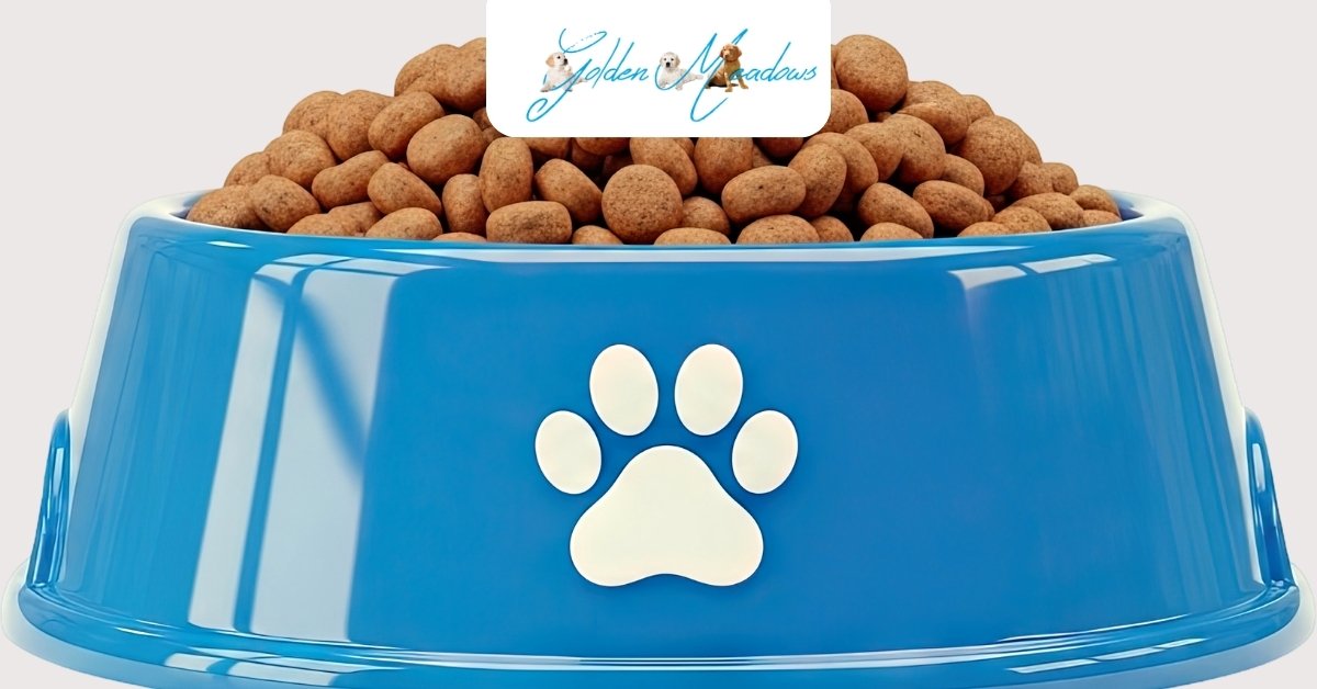 Homemade Vs. Store-Bought Dog Food For Golden Retrievers