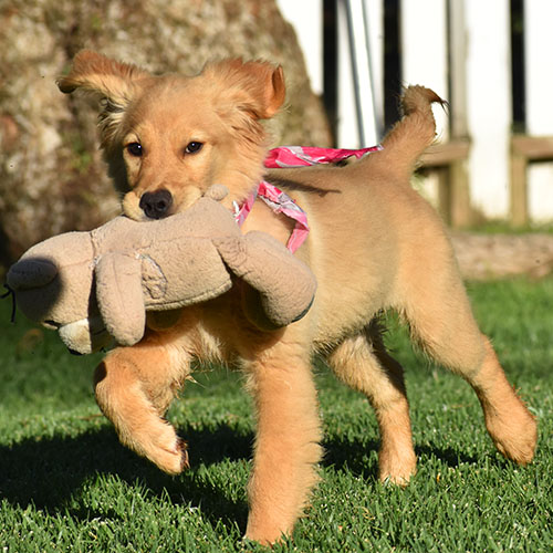 Reserved-Elsa - Image 5