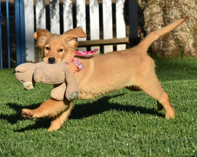 Reserved-Elsa - Image 6