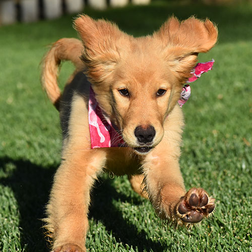 Reserved-Elsa - Image 8