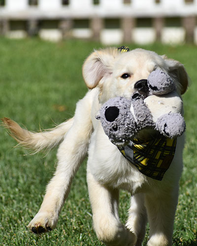 Reserved-Manny - Image 11