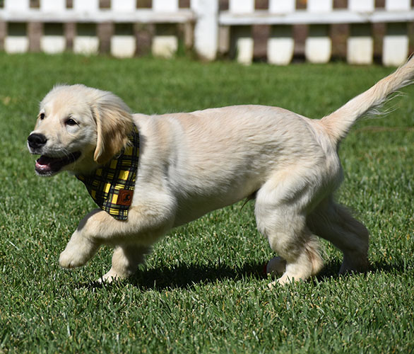 Reserved-Manny - Image 12