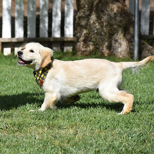 Reserved-Manny - Image 13