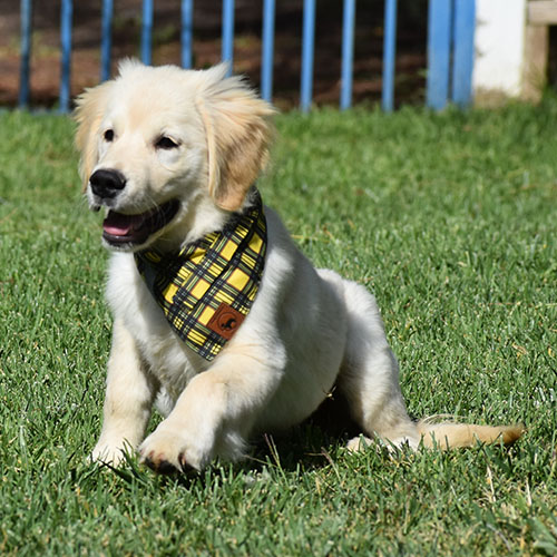 Reserved-Manny - Image 14