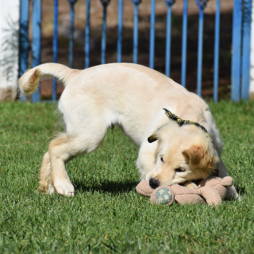 Reserved-Manny - Image 15