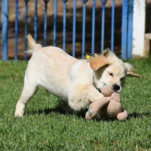 Reserved-Manny - Image 16