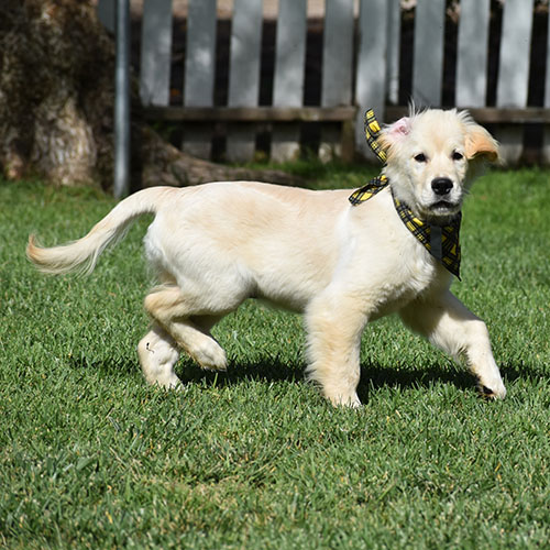 Reserved-Manny - Image 17