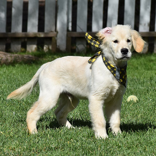 Reserved-Manny - Image 18