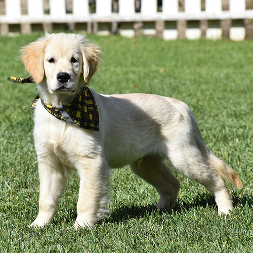 Reserved-Manny - Image 19