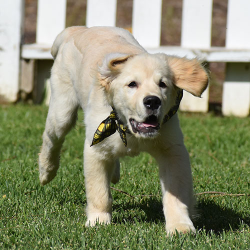 Reserved-Manny - Image 20