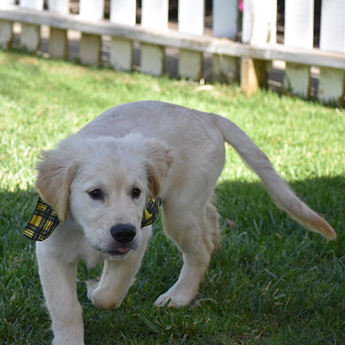 Reserved-Manny - Image 3