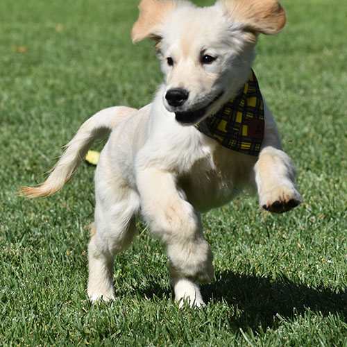 Reserved-Manny - Image 4