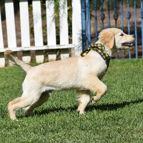 Reserved-Manny - Image 5