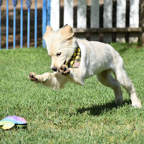 Reserved-Manny - Image 6