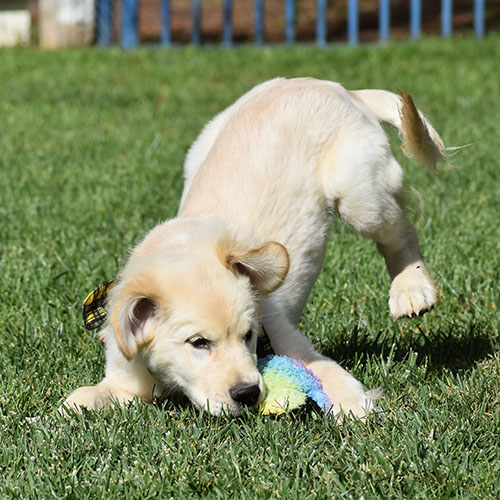 Reserved-Manny - Image 7