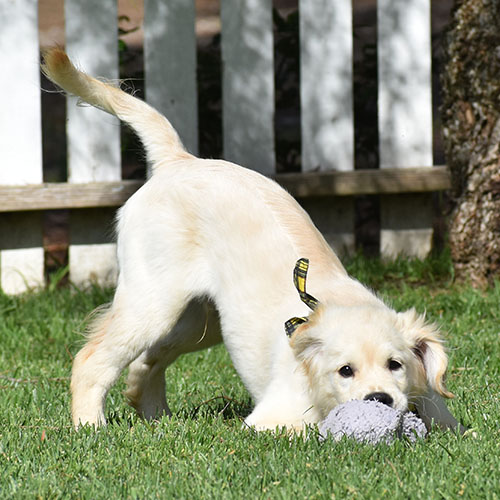 Reserved-Manny - Image 8