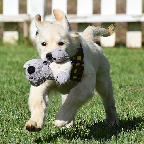 Reserved-Manny - Image 9