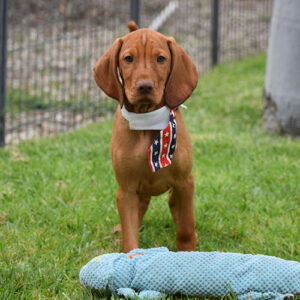 Emmett