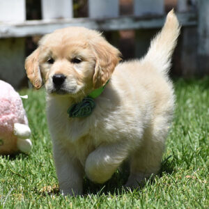 Reserved-Zoey